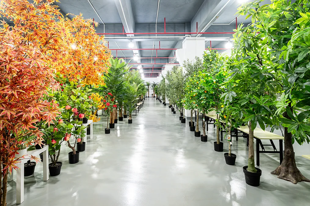 Artificial Plants Case Studies