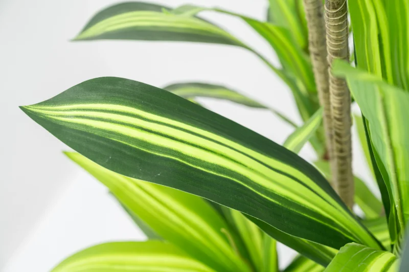Custom injection molded leaf textures and adjustable foliage density