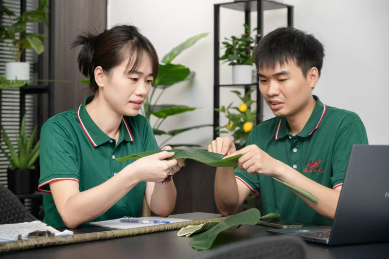 Cross referencing target aesthetics with the artificial plant catalog