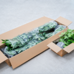 KD flat-pack carton for brazilian iron plant showing disassembled trunk sections, leaf bundles, and pot in labelled packaging layers