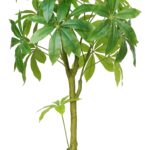 Single Trunk Artificial Money Tree