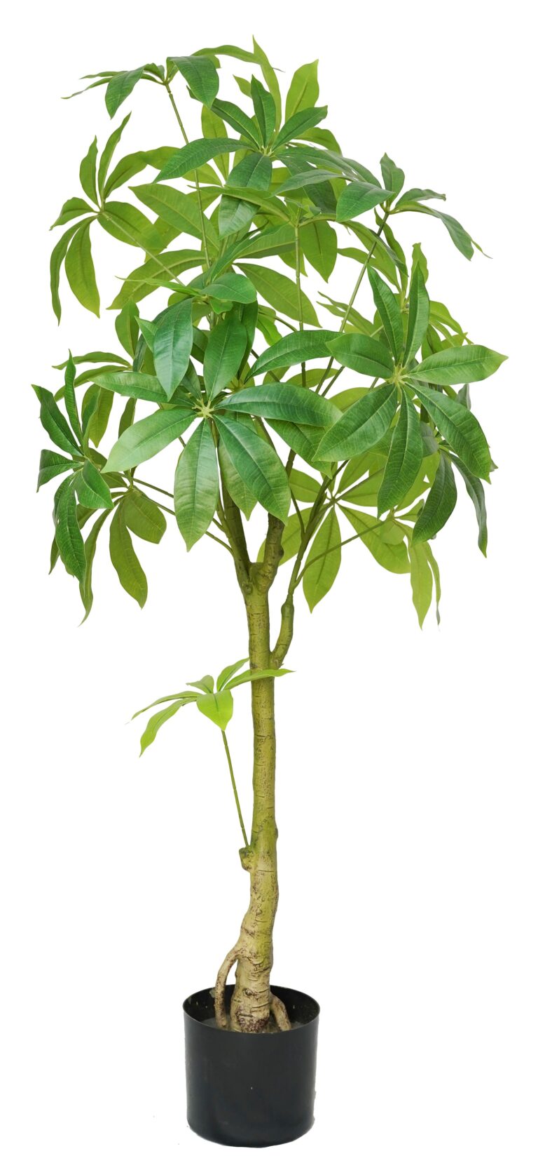 Single Trunk Artificial Money Tree