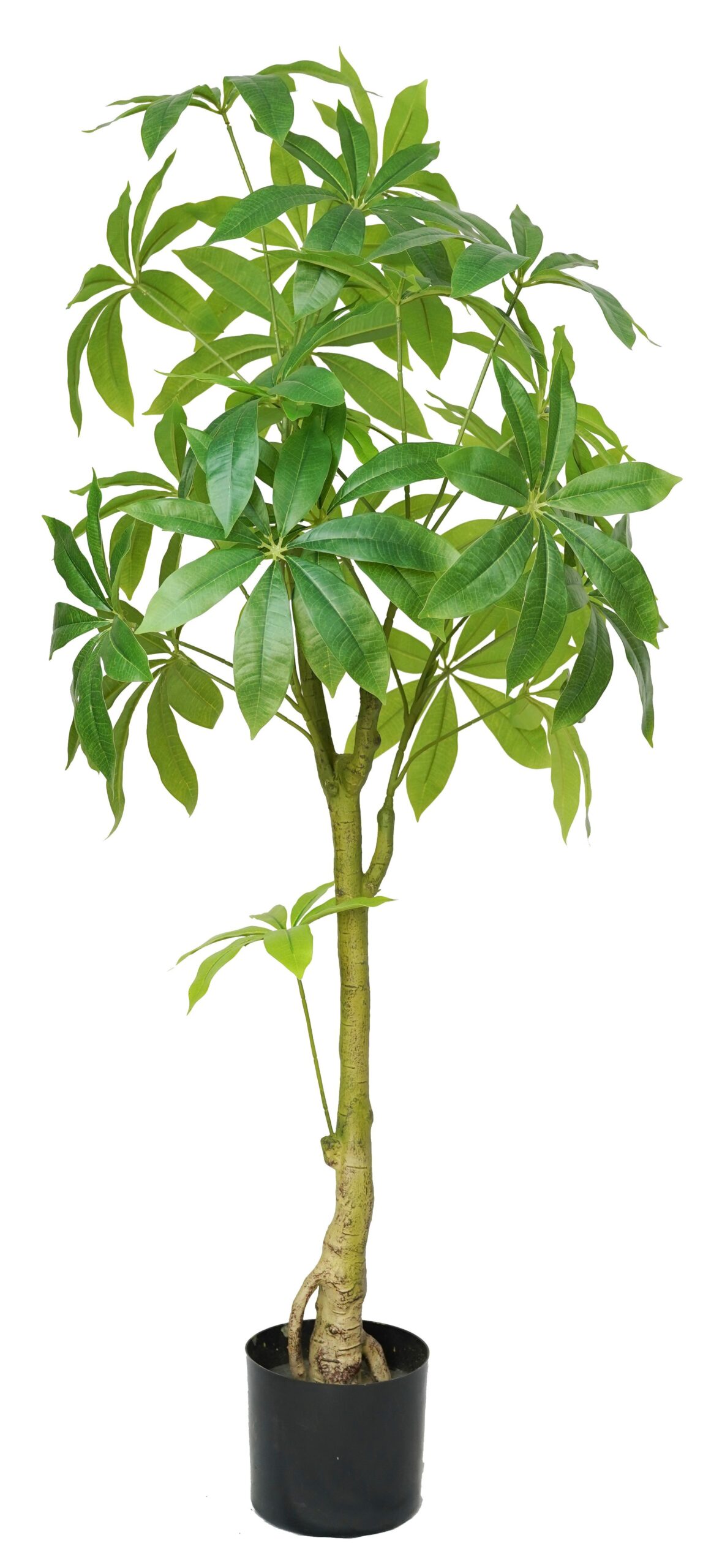 Single Trunk Artificial Money Tree