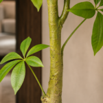 Artificial Pachira Aquatica Tree