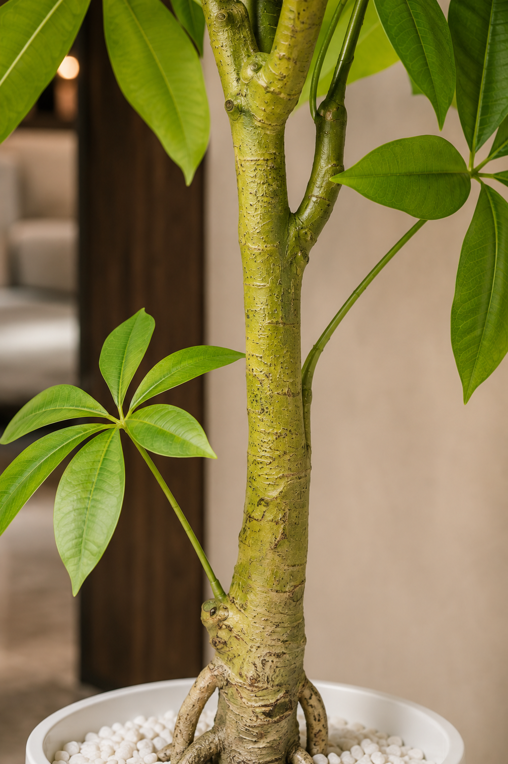 Artificial Pachira Aquatica Tree