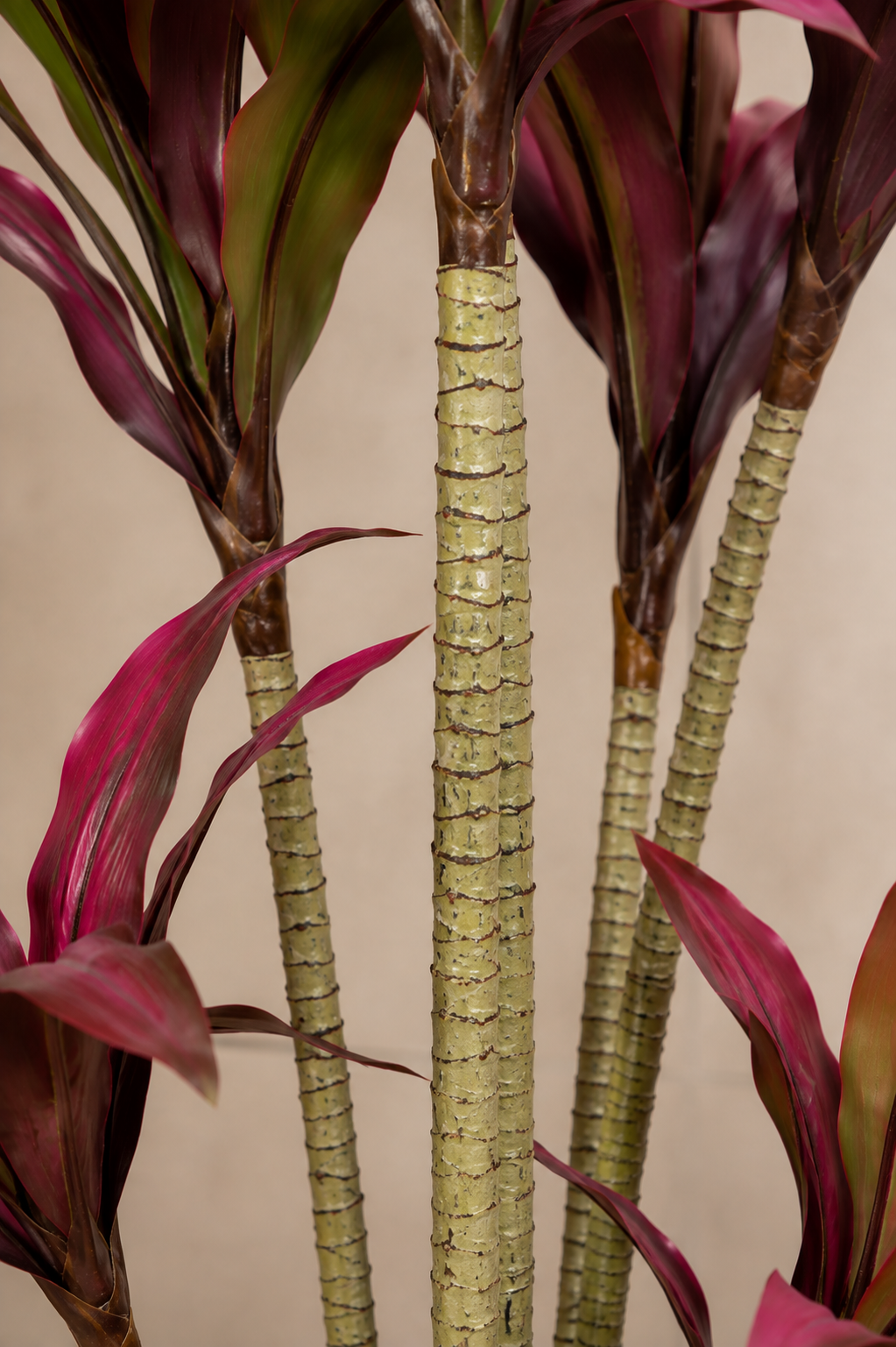 Artificial Red Dracaena