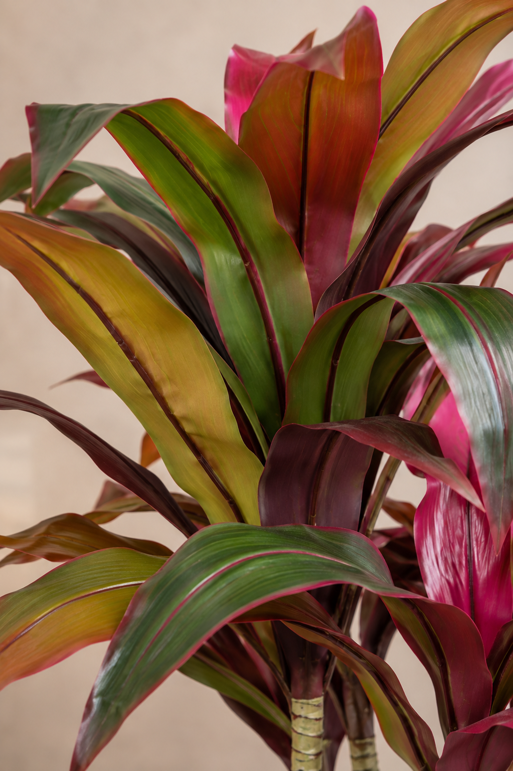 Burgundy Faux Dracaena Plant
