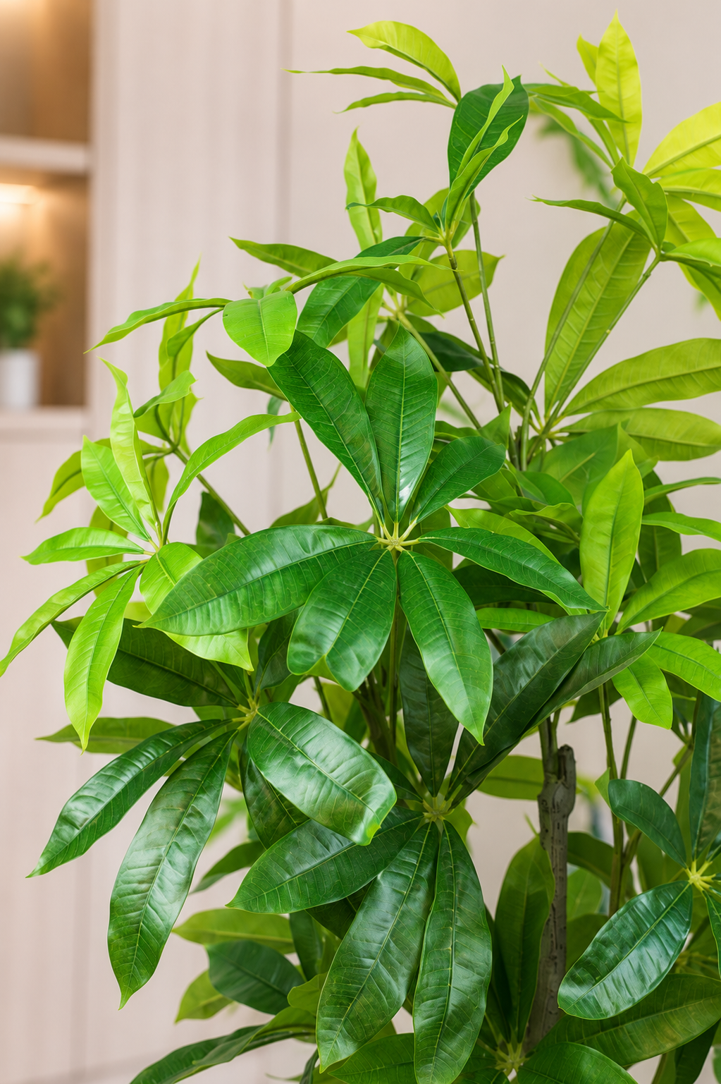 Faux Pachira Aquatica Tree