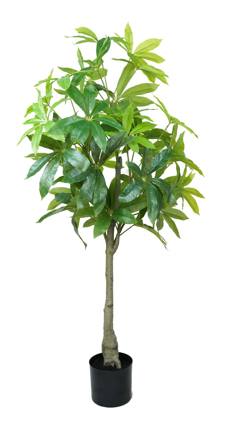 Full Canopy Artificial Money Tree