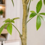 Realistic Artificial Money Tree
