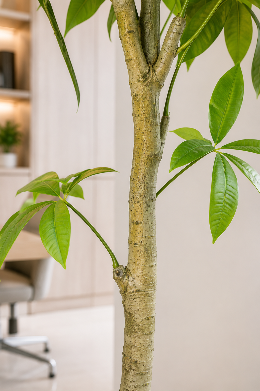 Realistic Artificial Money Tree