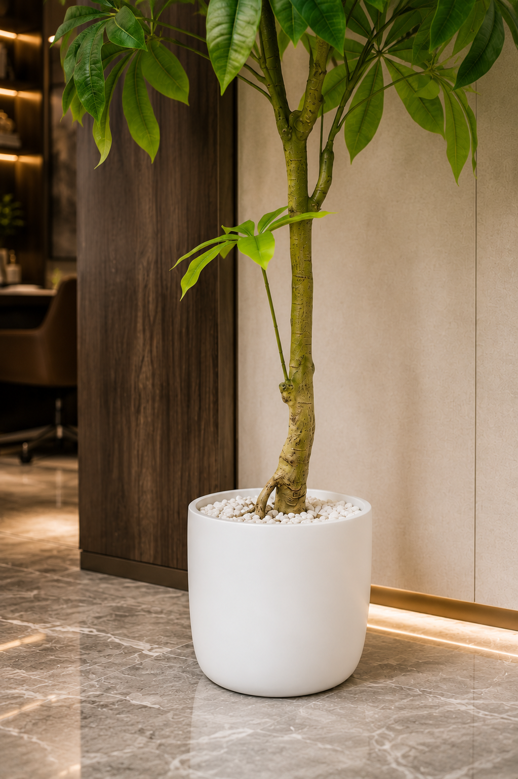 Tall Artificial Money Tree