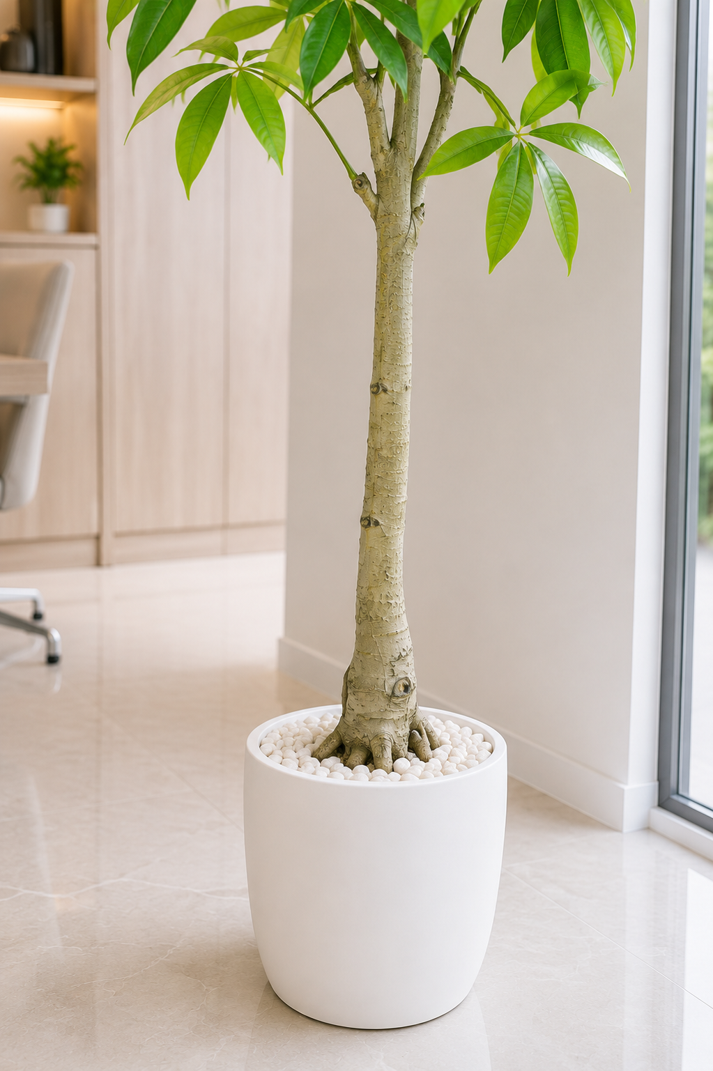 Tall Artificial Money Tree