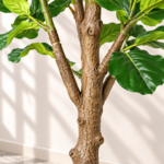 Artificial Ficus Lyrata Tree
