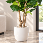 Artificial Ficus Tree