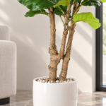 Branched Artificial Fiddle Leaf Fig