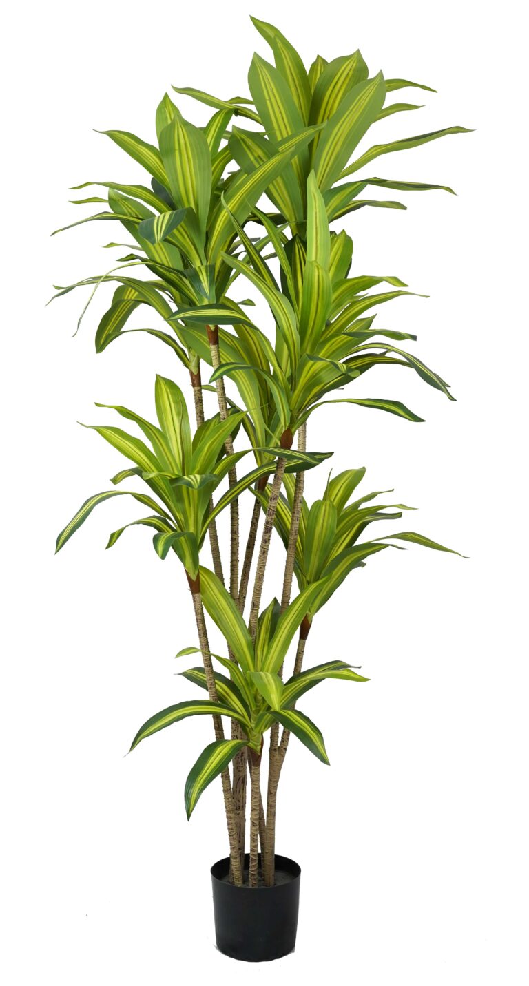 Realistic Artificial Dracaena Tree – Tall Faux Corn Plant with Variegated Green Leaves