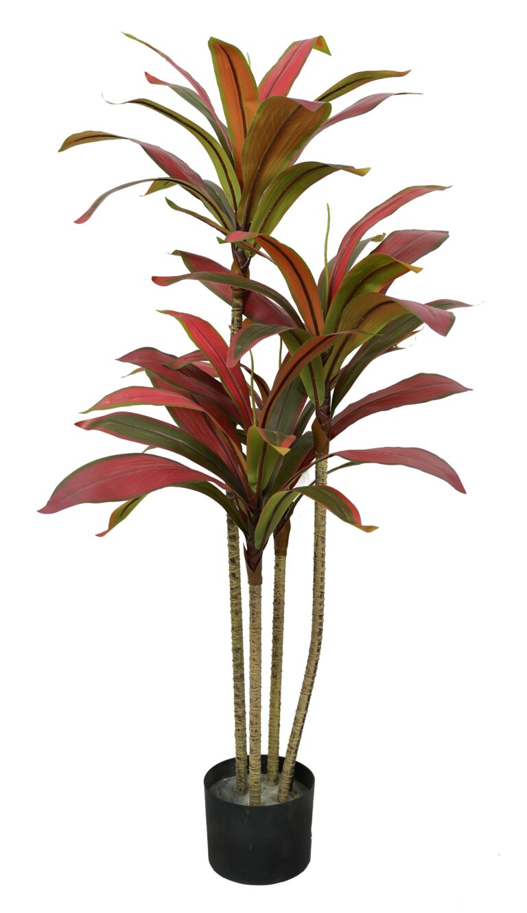 Artificial Red Dracaena Tree – Multi-Stem Faux Tropical Plant with Burgundy Leaves