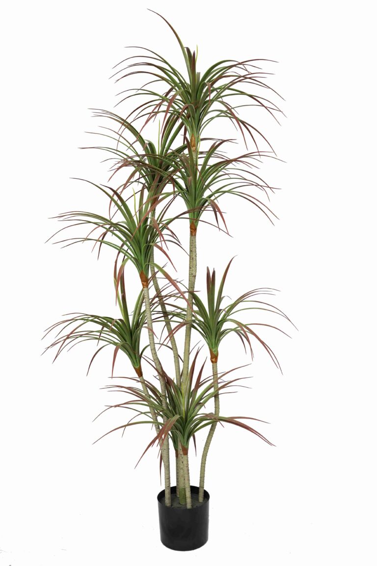 Tall Red Edge Faux Dragon Tree