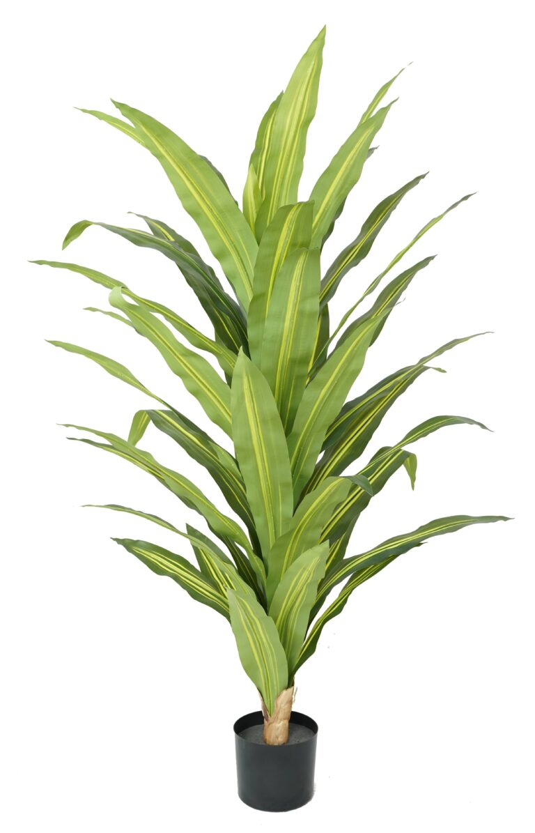 Realistic Variegated Faux Corn Plant