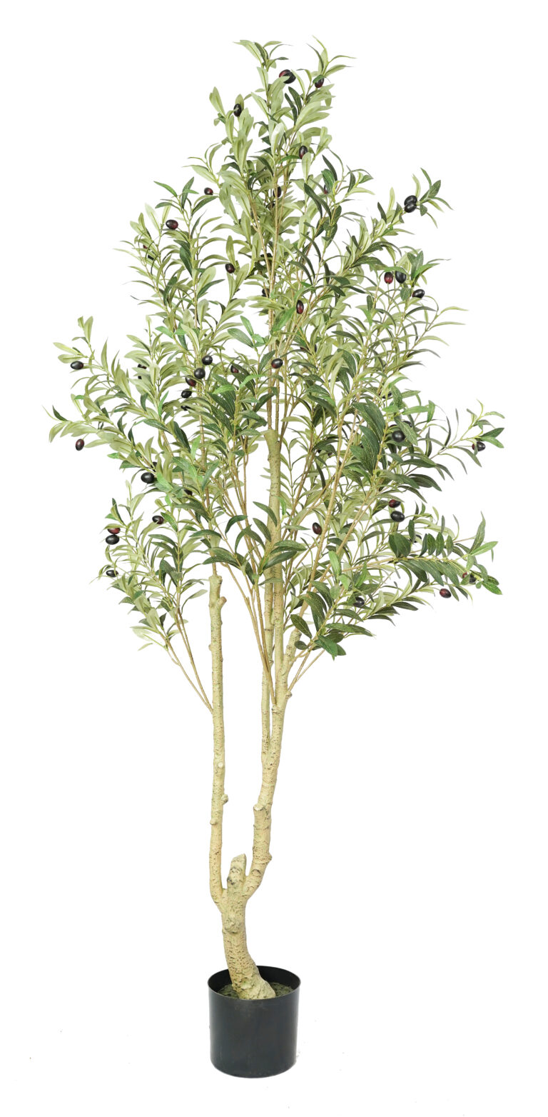 Double Trunk Artificial Olive Tree with Olives – Realistic Faux Mediterranean Tree