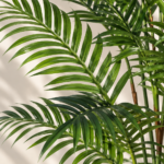 Faux Areca Palm Tree