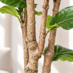 Large Artificial Fiddle Leaf Fig Tree