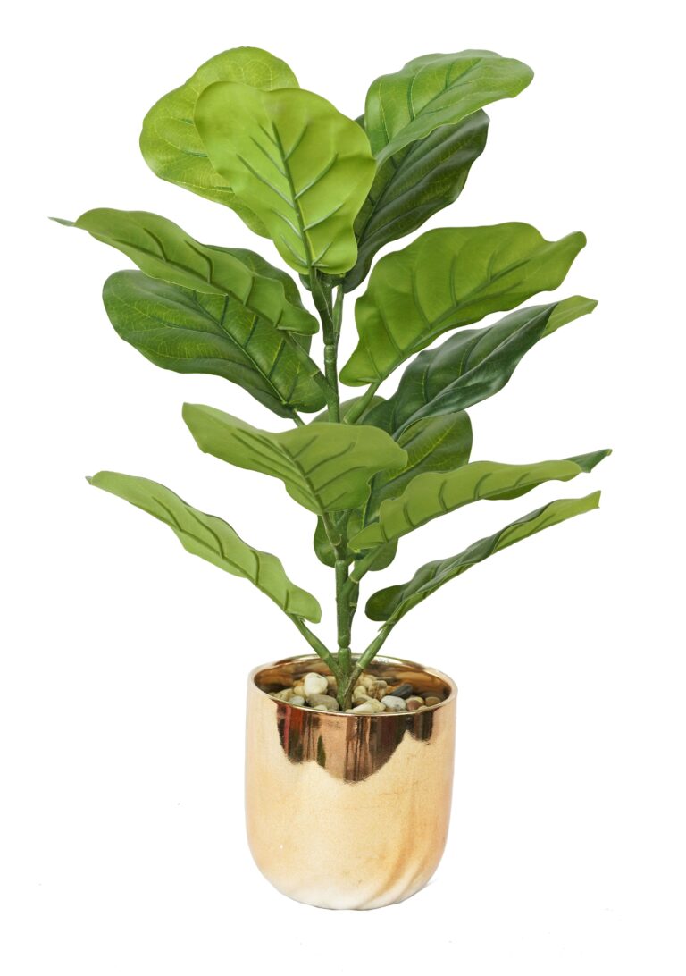 60cm Artificial Fiddle Leaf Fig Plant with Gold Pot | Small Faux Ficus Lyrata for Indoor Decor