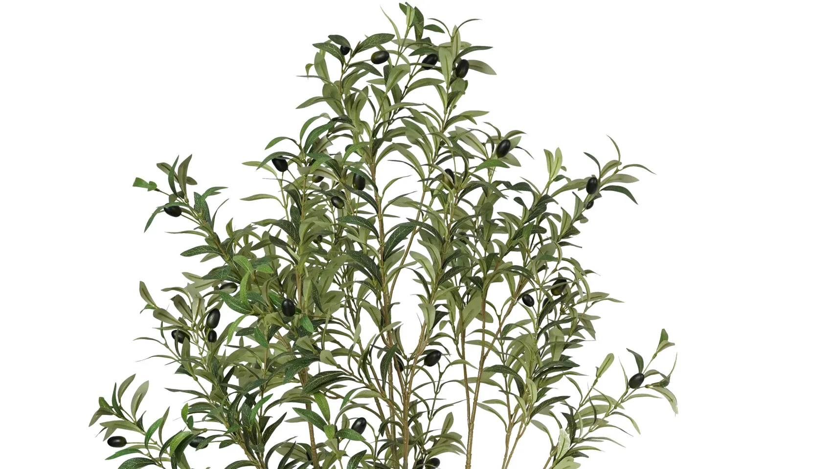 realistic artificial olive tree with a full silver-green canopy
